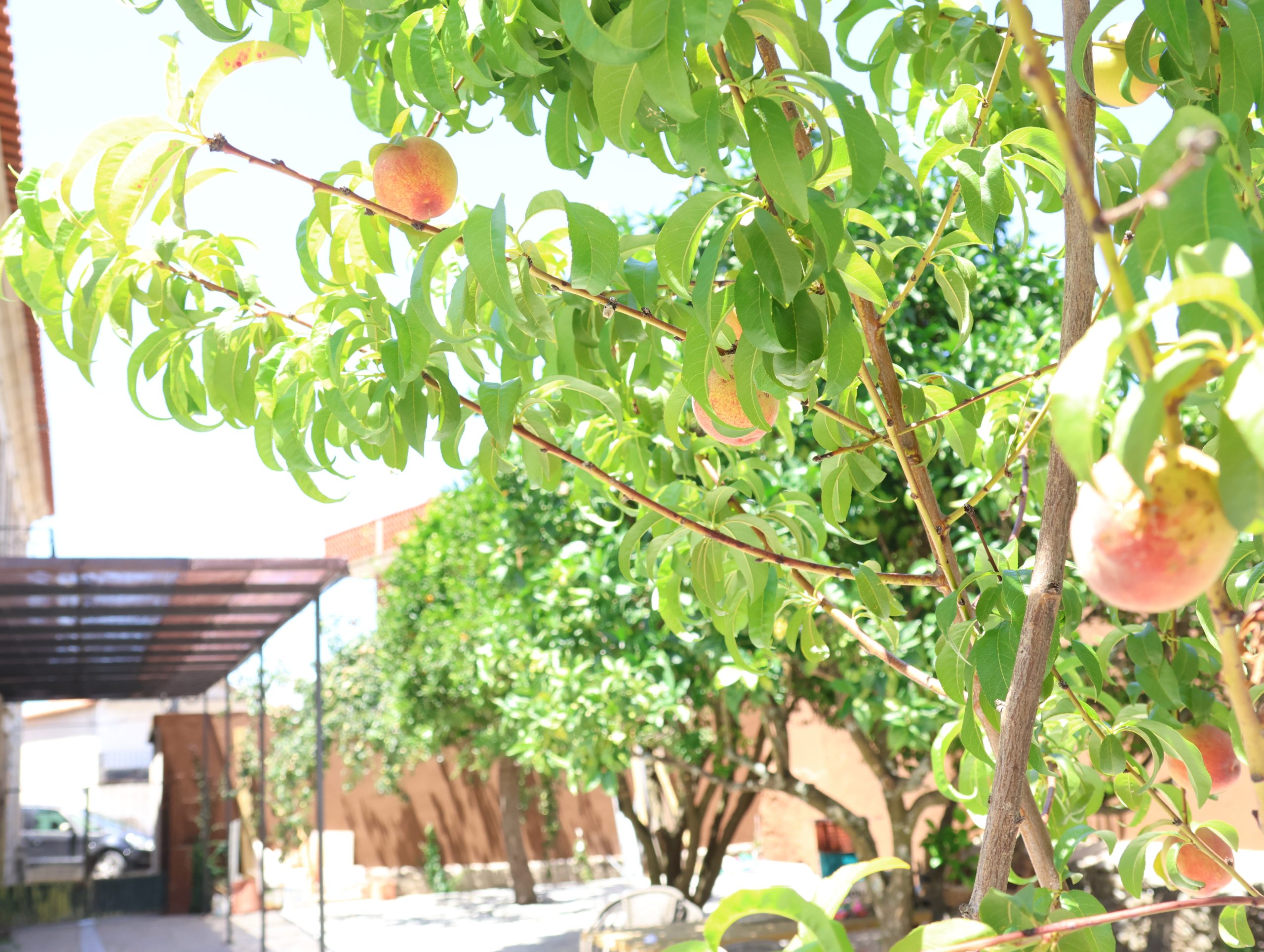 Eventos Quinta do Laranjo