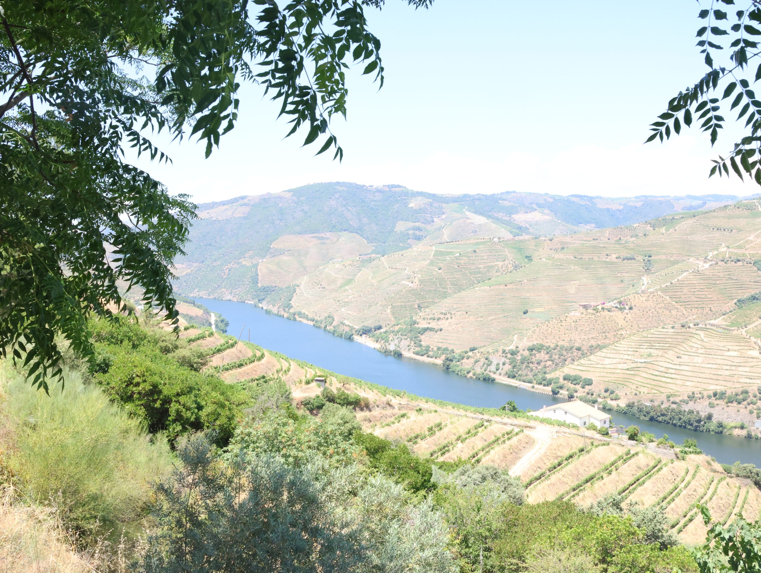 Experiências Quinta do Laranjo
