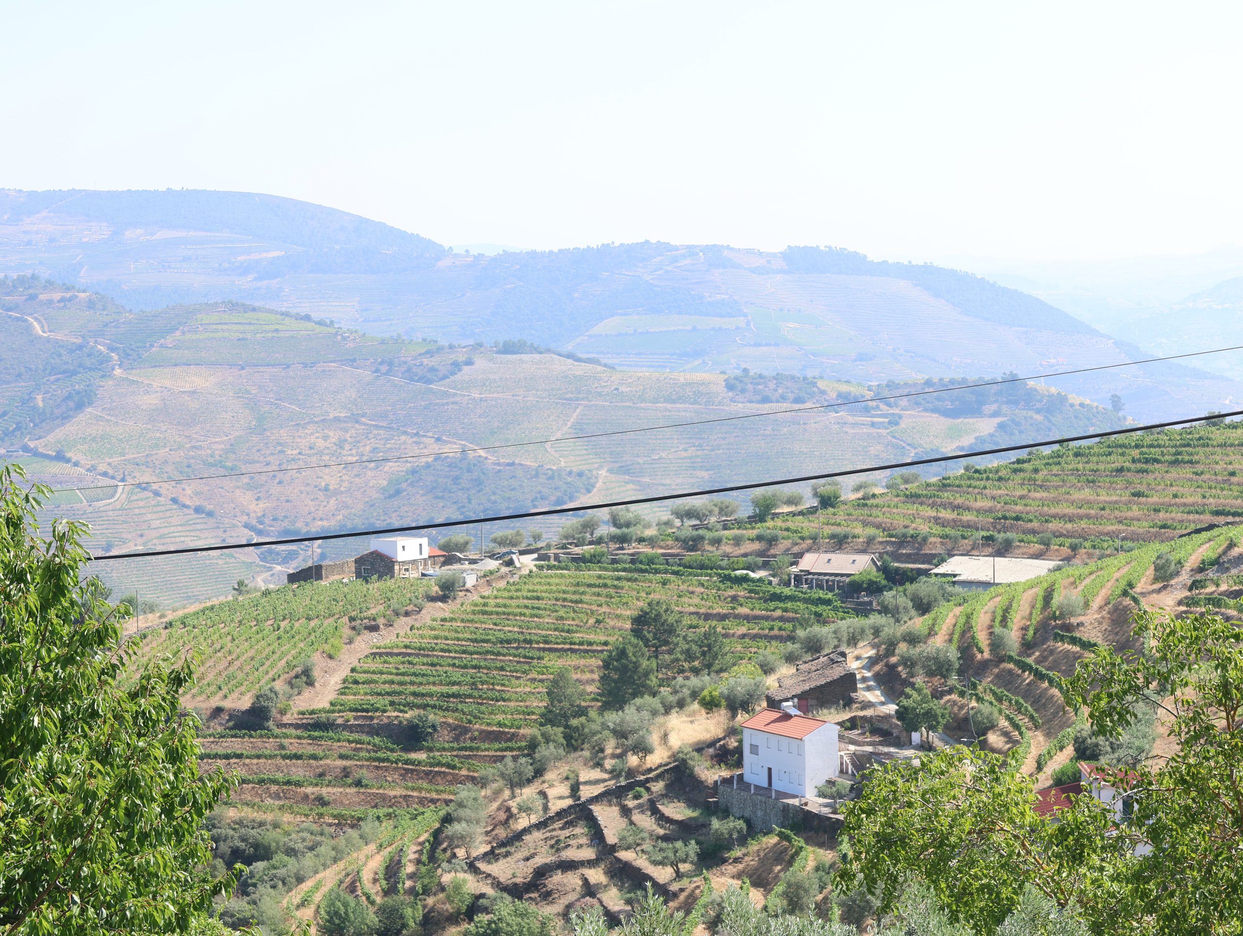 Vistas da Quinta