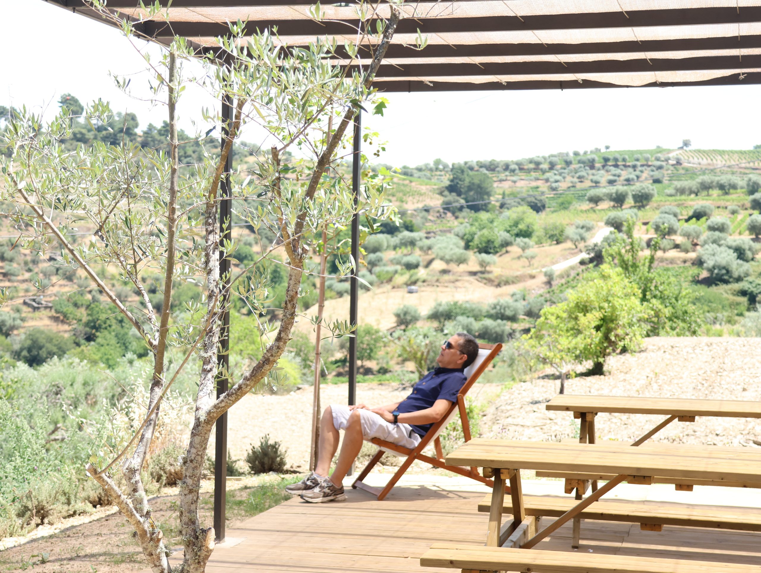 Vistas da Quinta