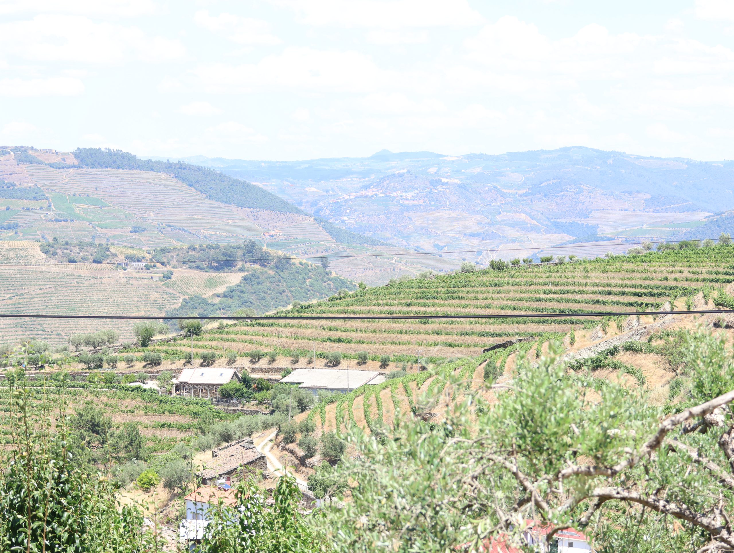 Vistas da Quinta